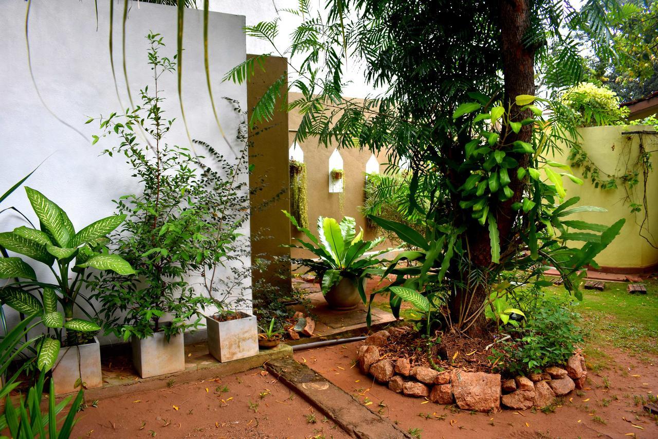 Villa Tulip Garden Anuradhapura Exterior foto